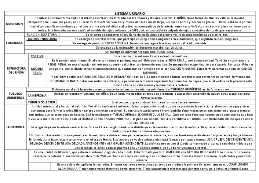 Miniatura del documento SISTEMA-URINARIO.pdf