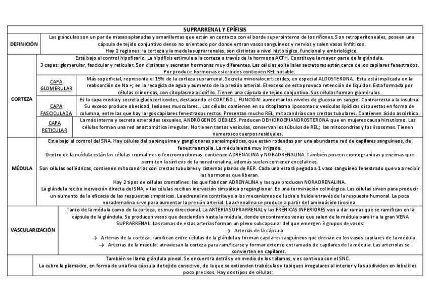 Miniatura del documento SUPRARRENAL-Y-EPIFISIS.pdf