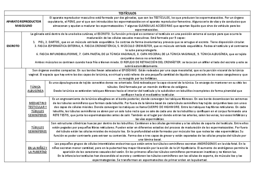 Miniatura del documento TESTICULOS.pdf