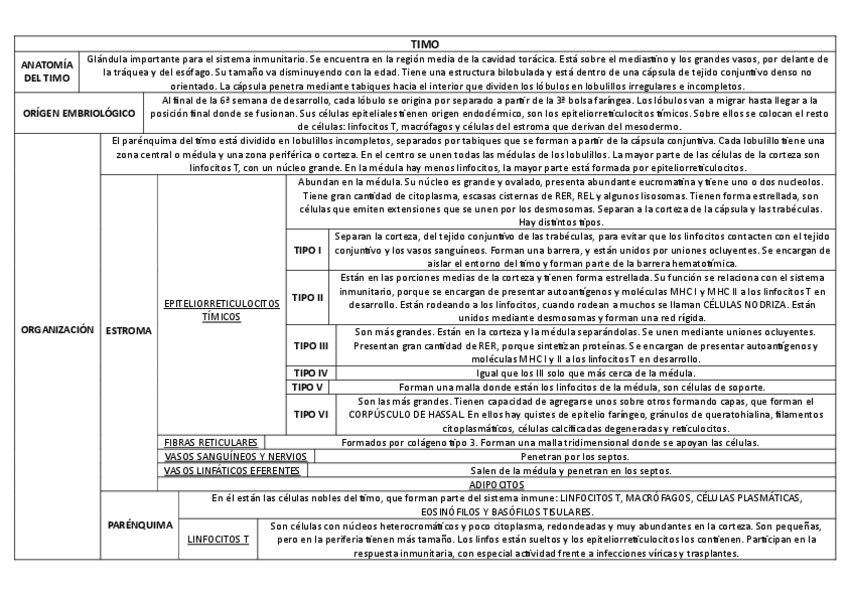 Miniatura del documento TIMO.pdf