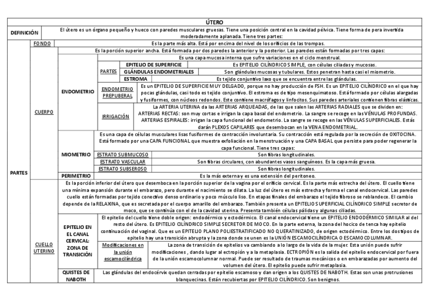 Miniatura del documento UTERO.pdf