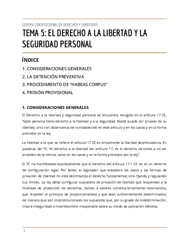 Miniatura del documento T.5-SISTEMA-CONSTITUCIONAL-DE-DERECHOS-Y-LIBERTADES-1.pdf