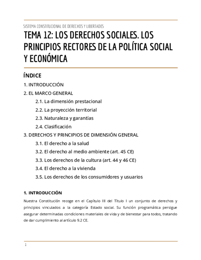 Miniatura del documento T.12-SISTEMA-CONSTITUCIONAL-DE-DERECHOS-Y-LIBERTADES.pdf