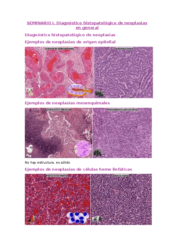 Miniatura del documento SEMINARIO-1.docx