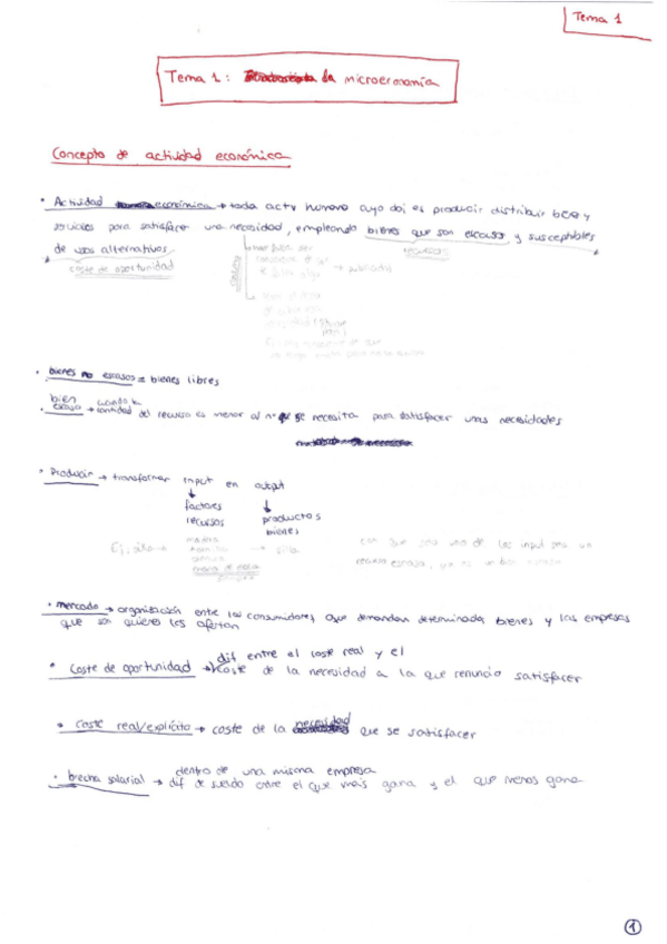 Miniatura del documento APUNTES - Tema 1.pdf