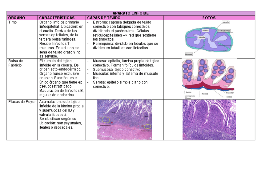 Miniatura del documento aparato-linfoide.pdf