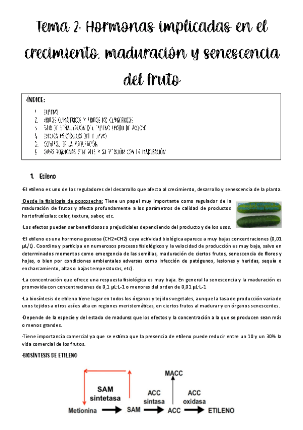 Miniatura del documento tema-2-productos.pdf