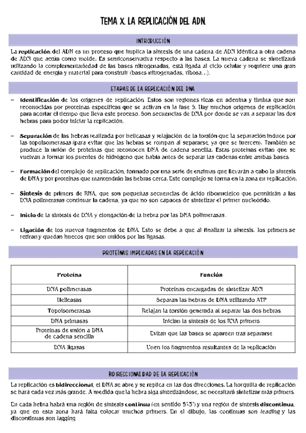 Miniatura del documento biologia-molecular-T10.pdf