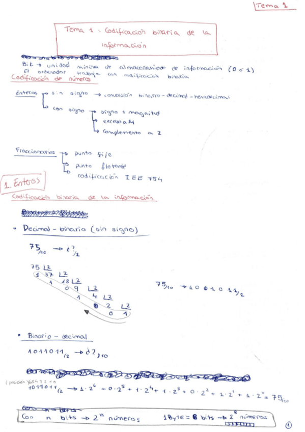 Miniatura del documento APUNTES - Tema 1.pdf