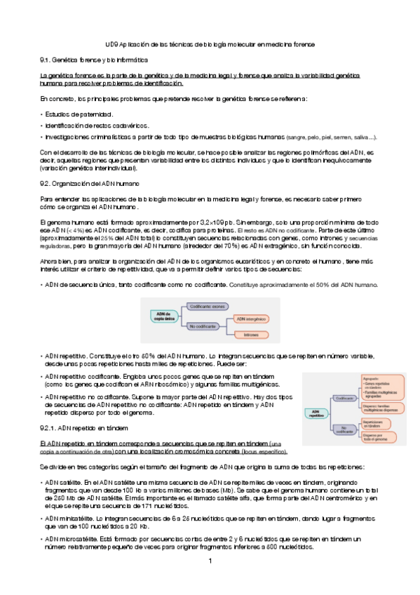 Miniatura del documento Tema-9-Aplicacion-de-las-tecnicas-en-medicina-forense.pdf