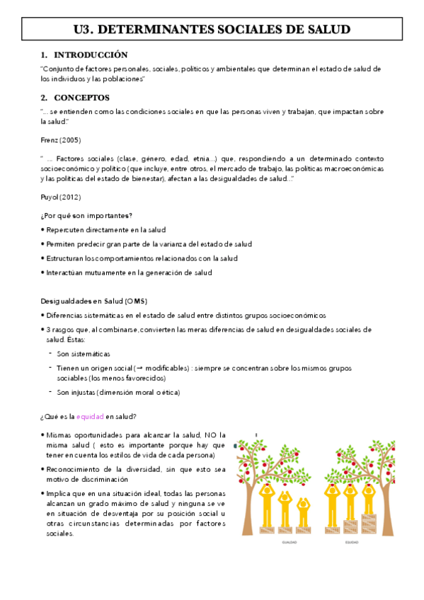 Miniatura del documento 3.-Determinantes-sociales-de-la-salud.pdf