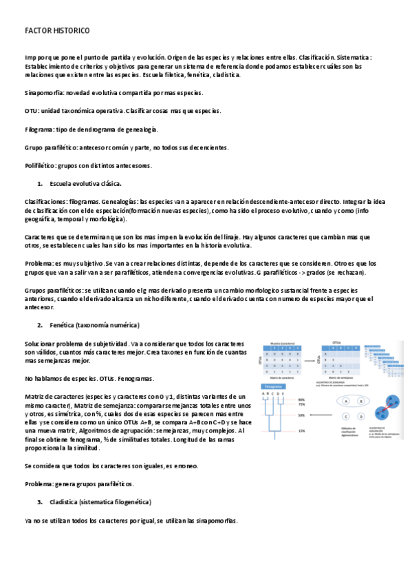 Miniatura del documento FACTOR-HISTORICO.pdf