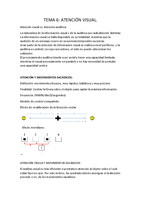 Miniatura del documento TEMA-6-atencion.pdf