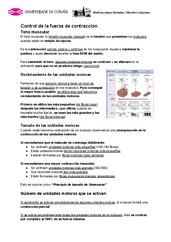 Miniatura del documento Anatomia-Generalidades-3ra-Parte.pdf
