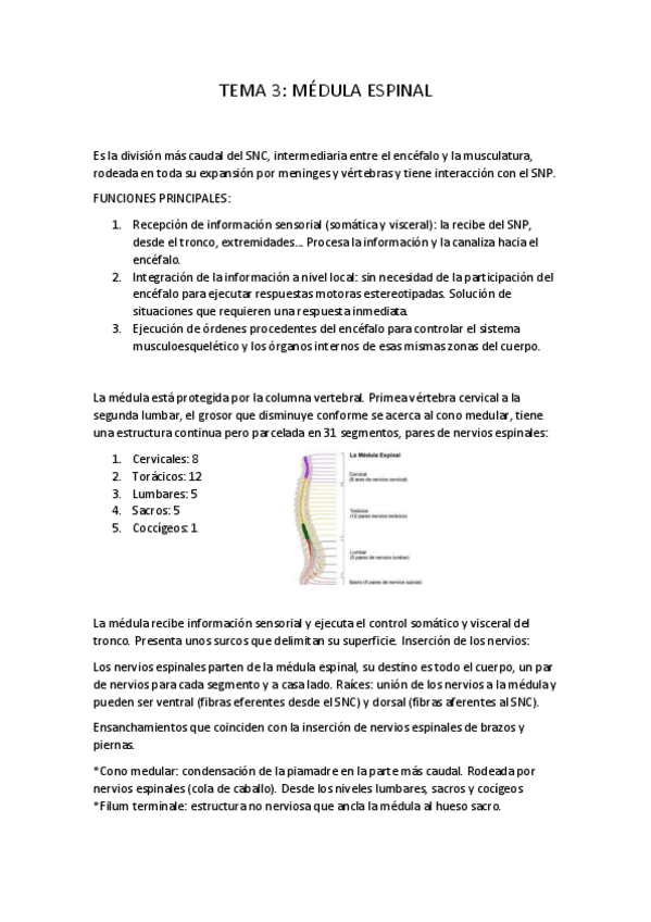 Miniatura del documento TEMA-3-psicobiologia-II.pdf