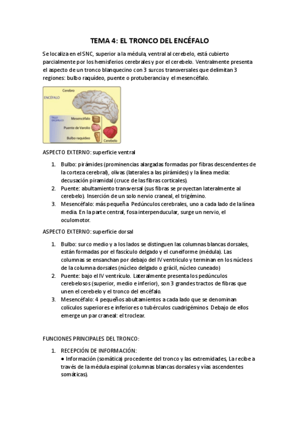 Miniatura del documento TEMA-4-PSICOBIOLGIA-II.pdf