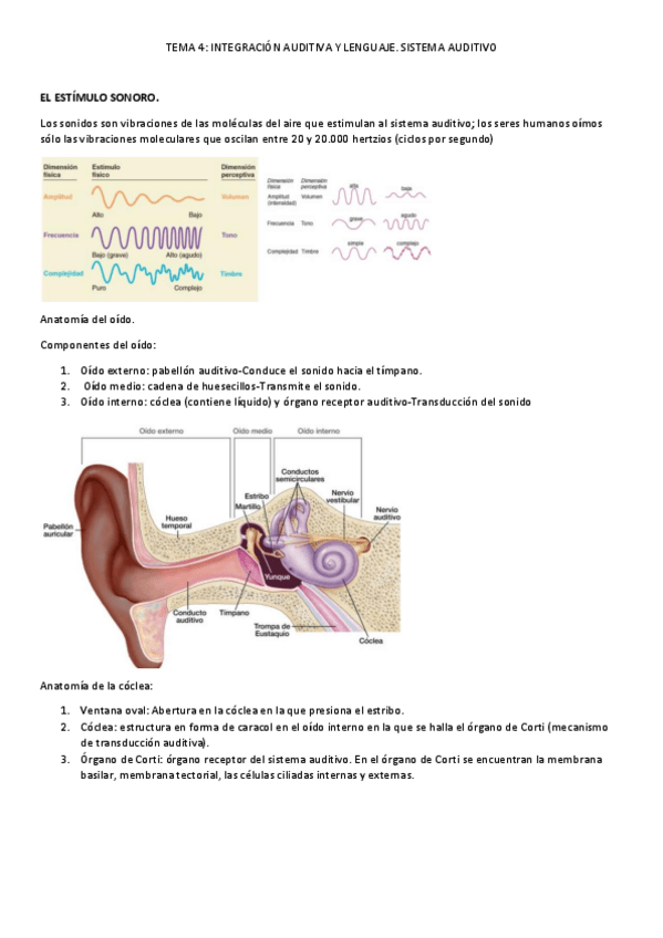 Miniatura del documento tema-4.pdf