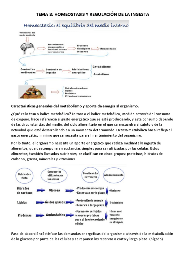 Miniatura del documento TEMA-8-APUNTES.pdf