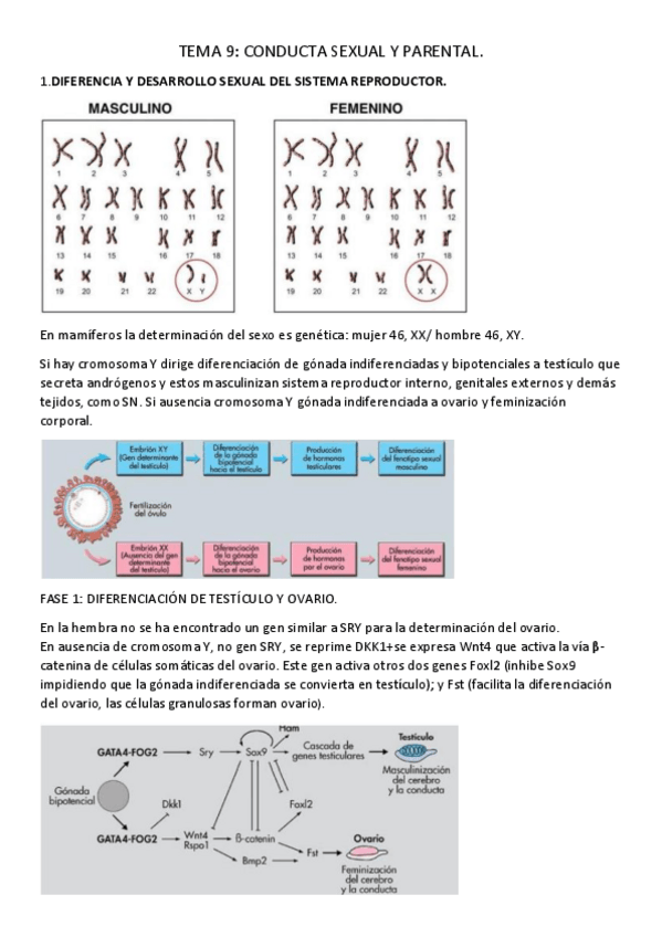 Miniatura del documento TEMA-9.pdf
