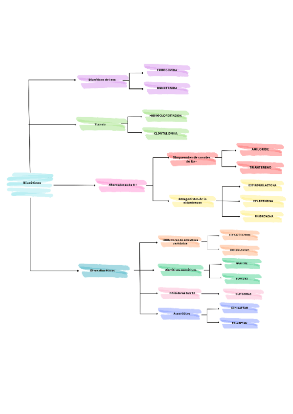 Miniatura del documento Esquema-diureticos.pdf