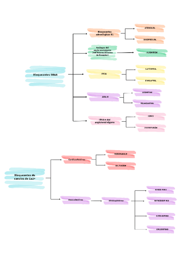 Miniatura del documento Esquemas-SRAA-y-BCCa.pdf