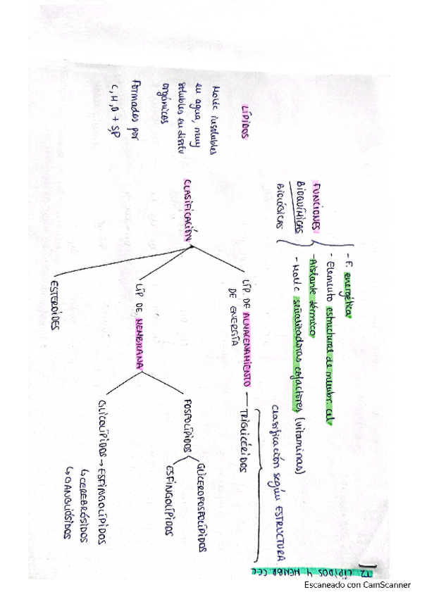 Miniatura del documento esquema-tema-2.pdf