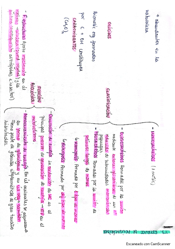 Miniatura del documento esquema-tema-3.pdf
