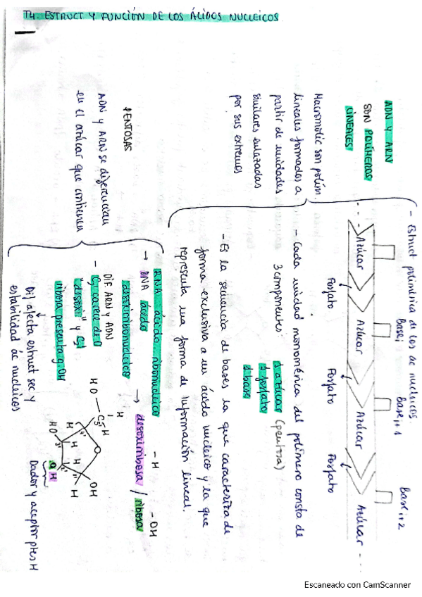 Miniatura del documento esquema-tema-4.pdf