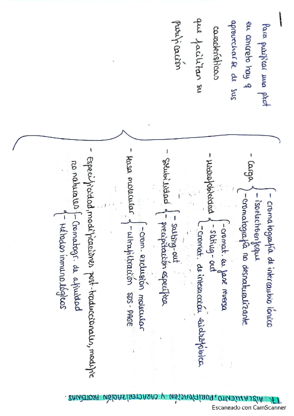 Miniatura del documento esquema-tema-7.pdf