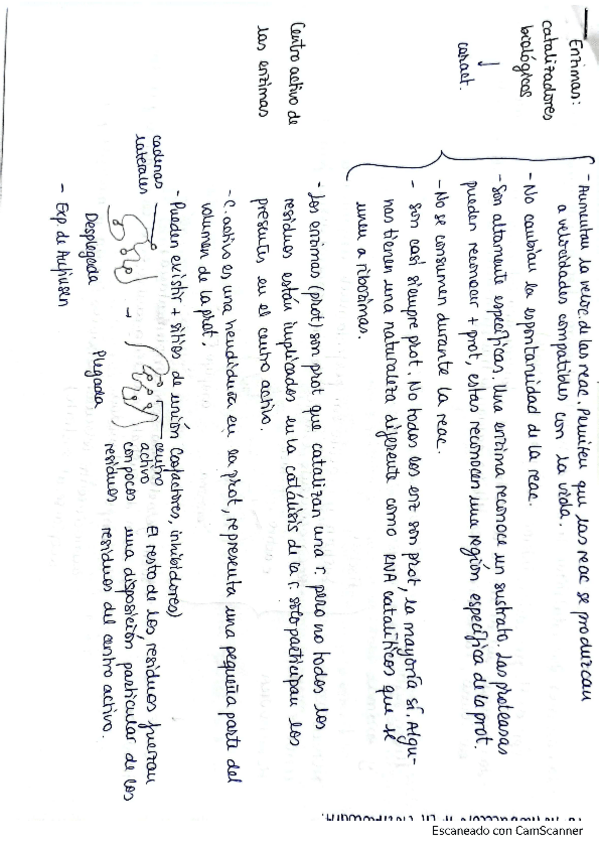 Miniatura del documento esquema-tema-8.pdf
