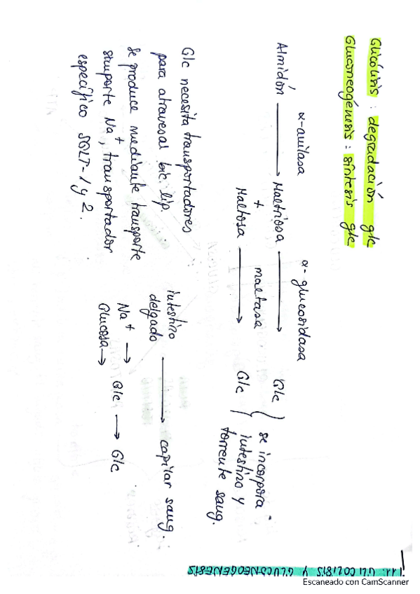 Miniatura del documento esquema-tema-11.pdf