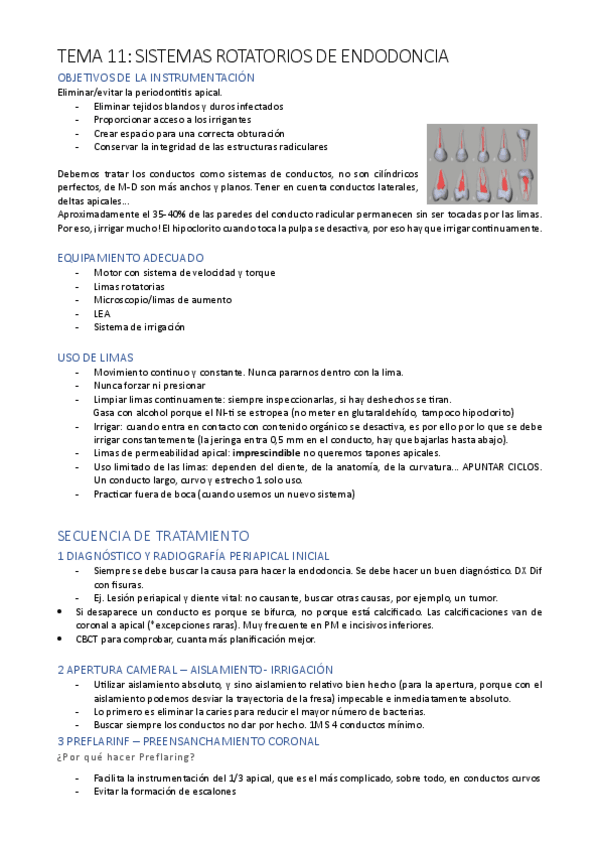 Miniatura del documento TEMA-11-ADULTOS-sist-rotatorios.pdf