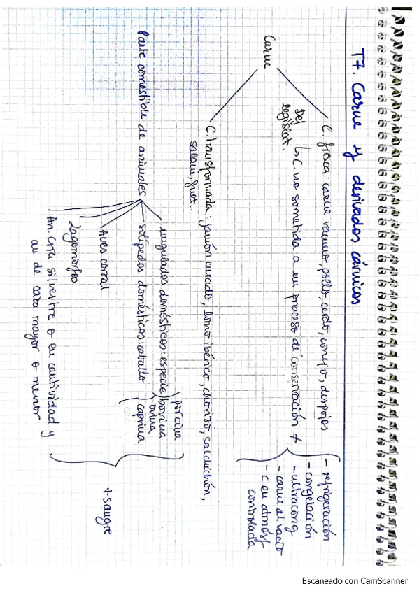 Miniatura del documento tema-7-y-8-bromatologia.pdf