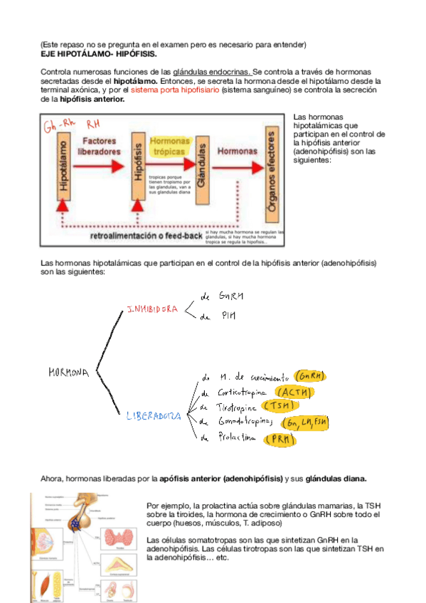 Miniatura del documento FISIOPATOLOGIA-S.-ENDOCRINO-COMPLETO.pdf