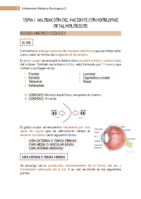 Miniatura del documento TEMA-1-MQ3-Otorrino-Oftalmologia.pdf