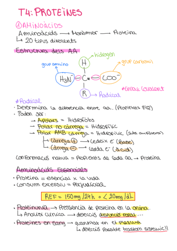 Miniatura del documento RESUM-PROTEINES.pdf