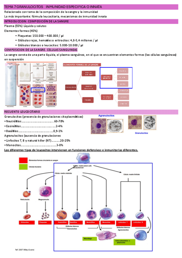 Miniatura del documento TEMA-7-FISIO-imprimir.pdf