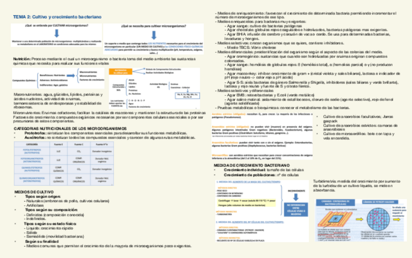 Miniatura del documento Resumen-micro-temas-2-4-y-8-10.pdf