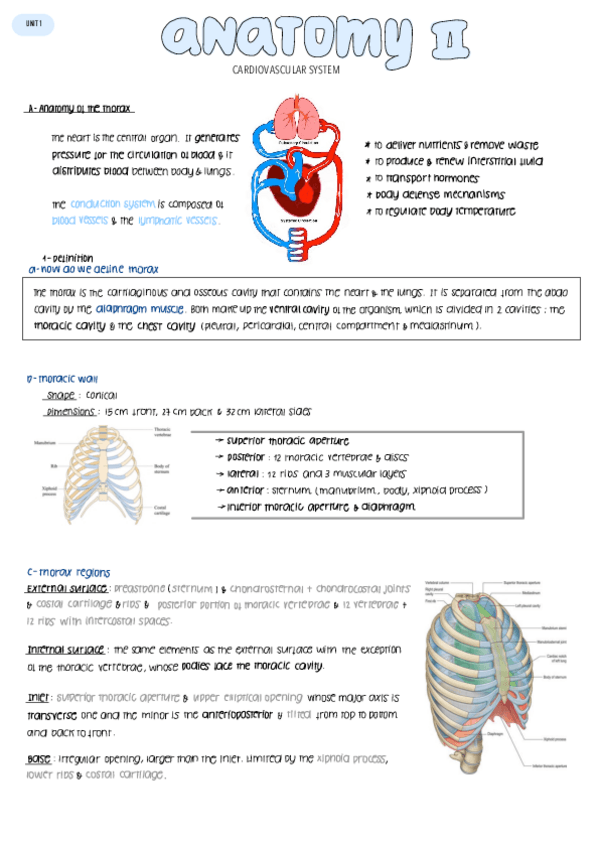 Miniatura del documento 1-CARDIOVASCULAR-SYSTEM.pdf