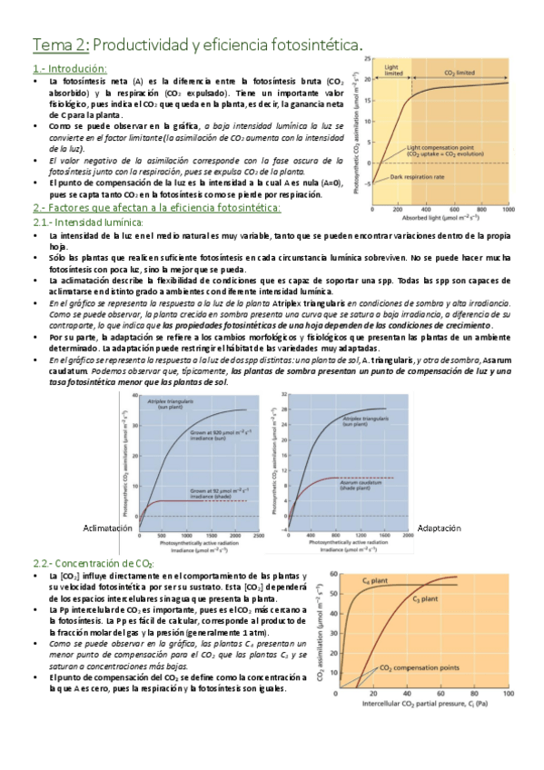 Miniatura del documento Tema 2 - Productividad y eficiencia fotosintética.pdf