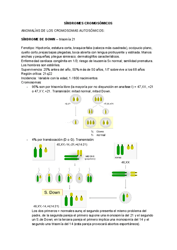Miniatura del documento TEMA-4-SINDROMES-CROMOSOMICOS.pdf
