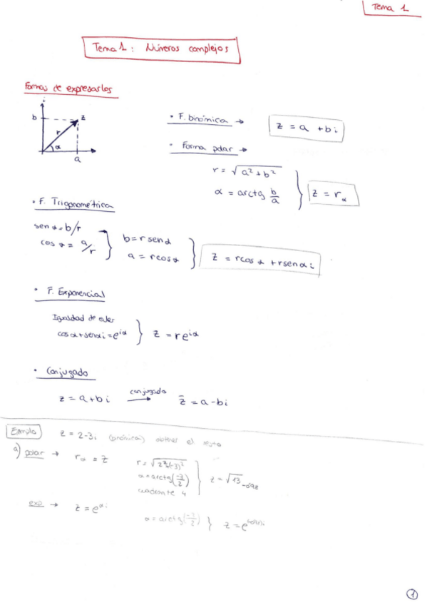 Miniatura del documento APUNTES - Tema 1 apuntes y problemas.pdf