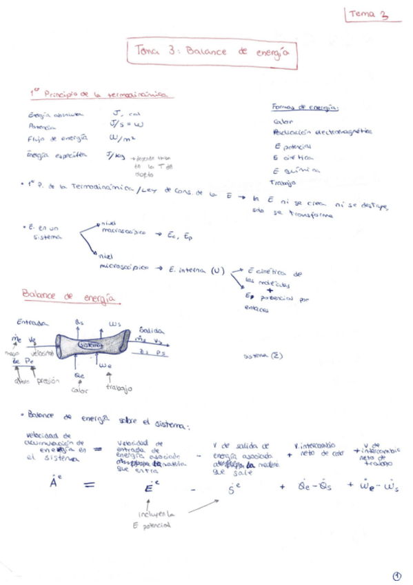 Miniatura del documento APUNTES - Tema 3.pdf