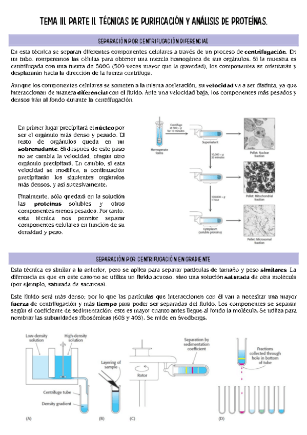 Miniatura del documento biologia-molecular-T3-parte-2.pdf