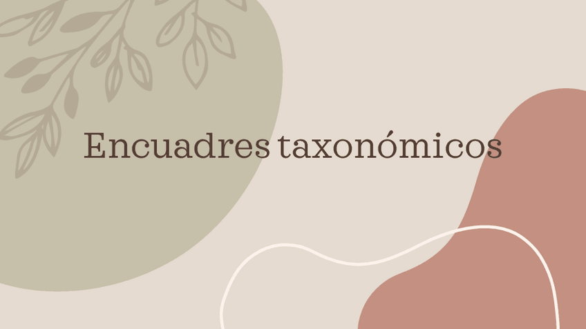 Miniatura del documento Encuadres-taxonomicos-y-estructuras.-Primer-parcial-temas-1-10.pdf