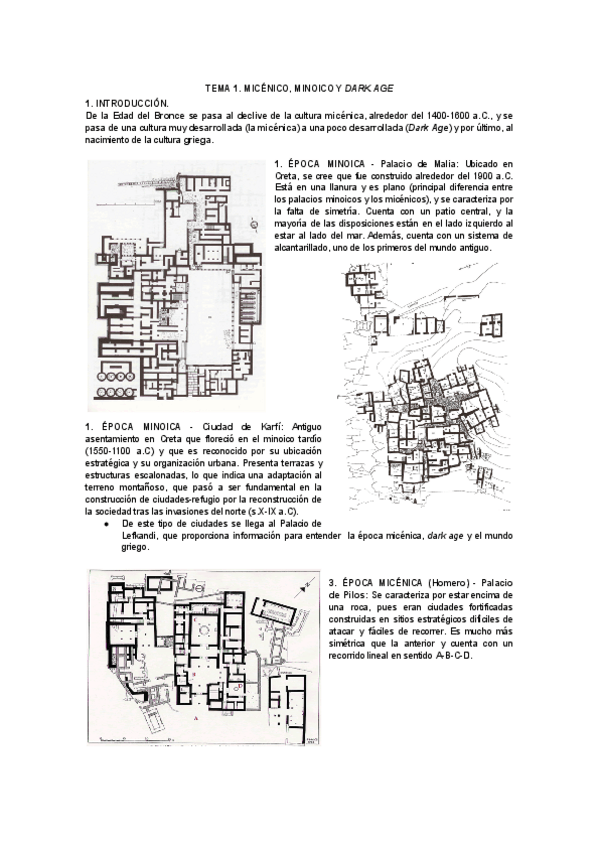 Miniatura del documento TEMA-1.-MICENICO-MINOICO-Y-DARK-AGE.pdf