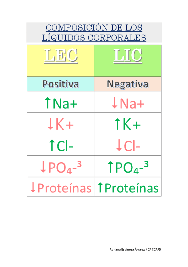 Miniatura del documento TABLA.-COMPOSICION-DE-LOS-LIQUIDOS-CORPORALES.pdf