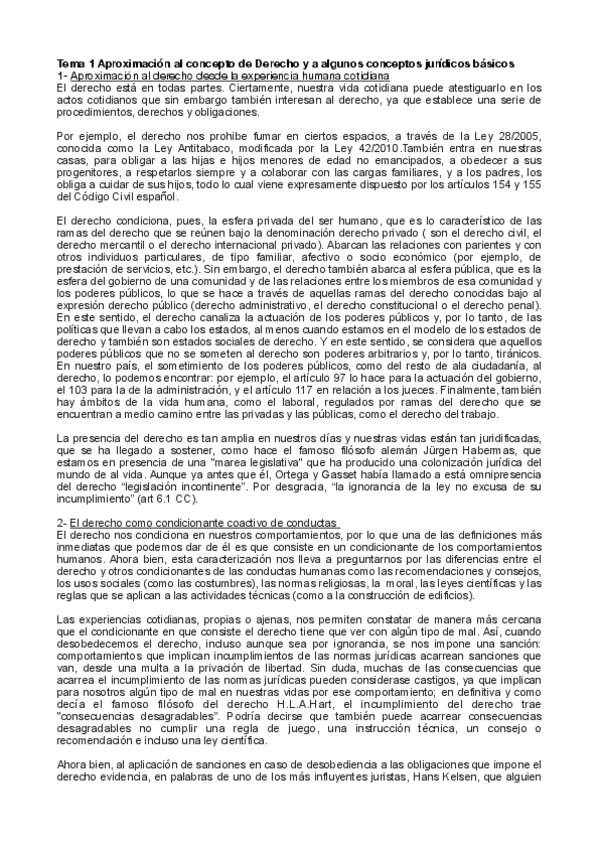 Miniatura del documento Tema-1-Teoria-J.D.-Ruiz-Resa.pdf