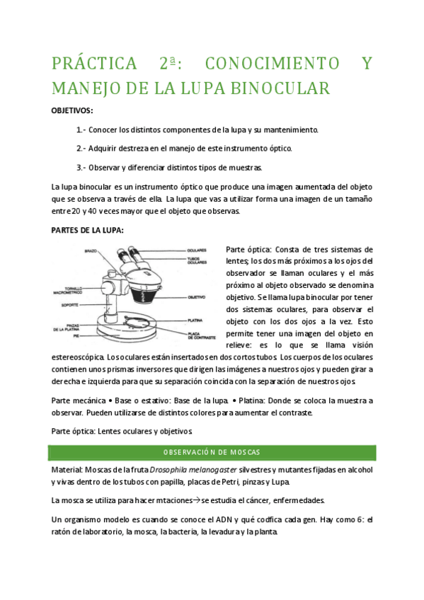 Miniatura del documento PRACTICA-2-BIO.pdf