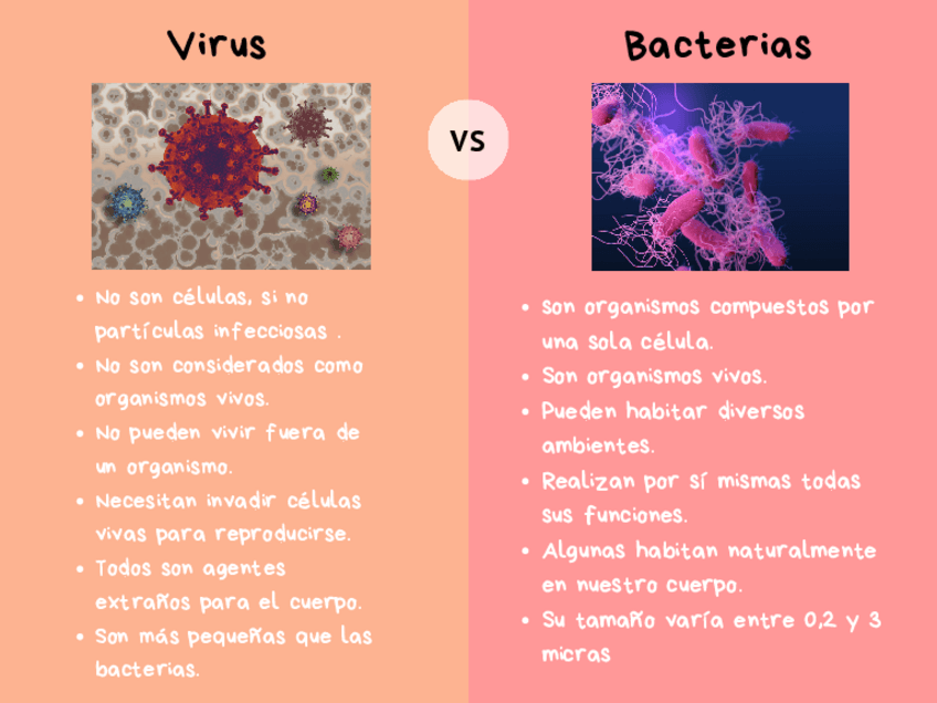 Miniatura del documento Cuadro-comparativo-de-virus-y-bacterias.pdf